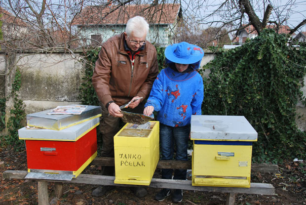 Јанко расте уз кошнице